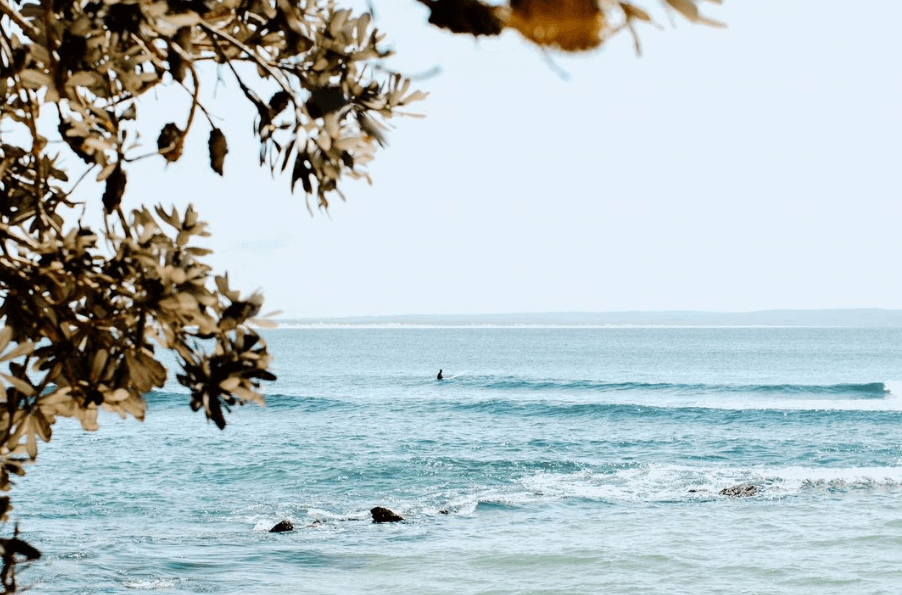 Surfers Airlie Walsh