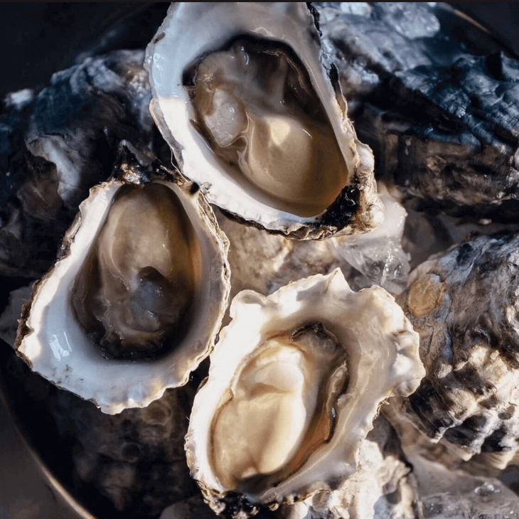 Plate of three shucked oysters