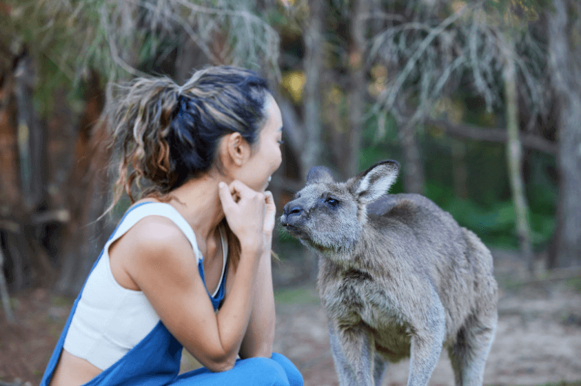 Kangaroo encounter