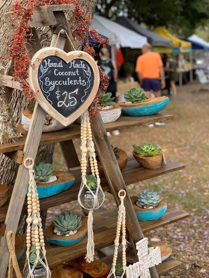 succulents on stall