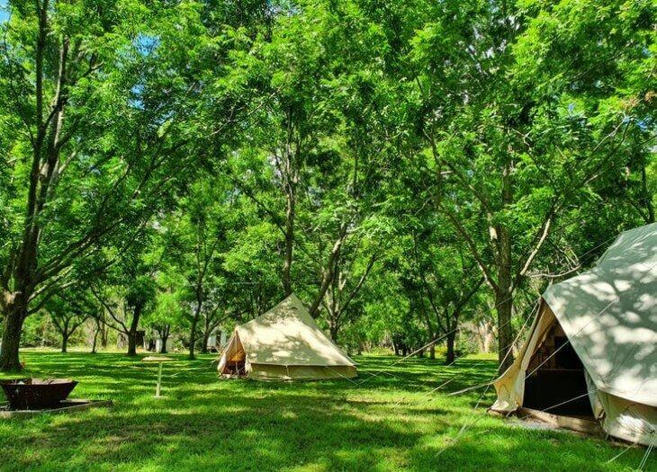 Artisan Estate Glamping