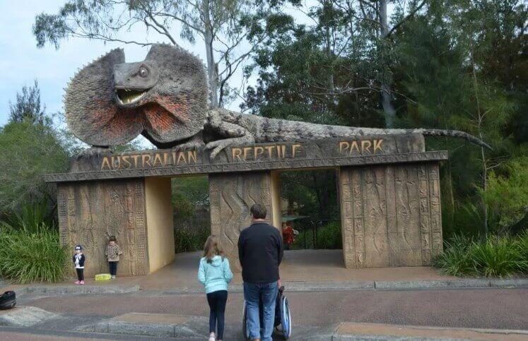Have Wheelchair Will Travel entering the front gates of the Australian Reptile Park with the sandstone frilled neck lizard sitting on top of the gates