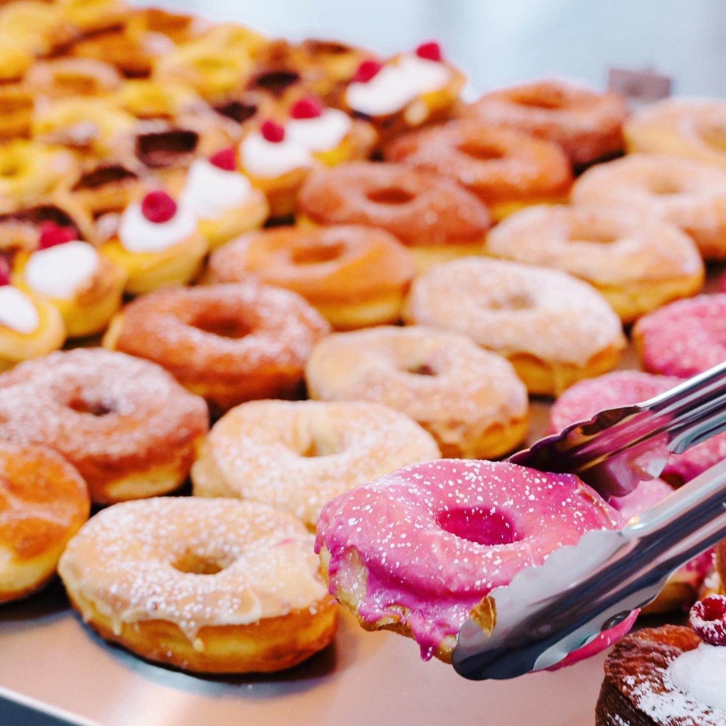 rows and rows of fresh doughnuts