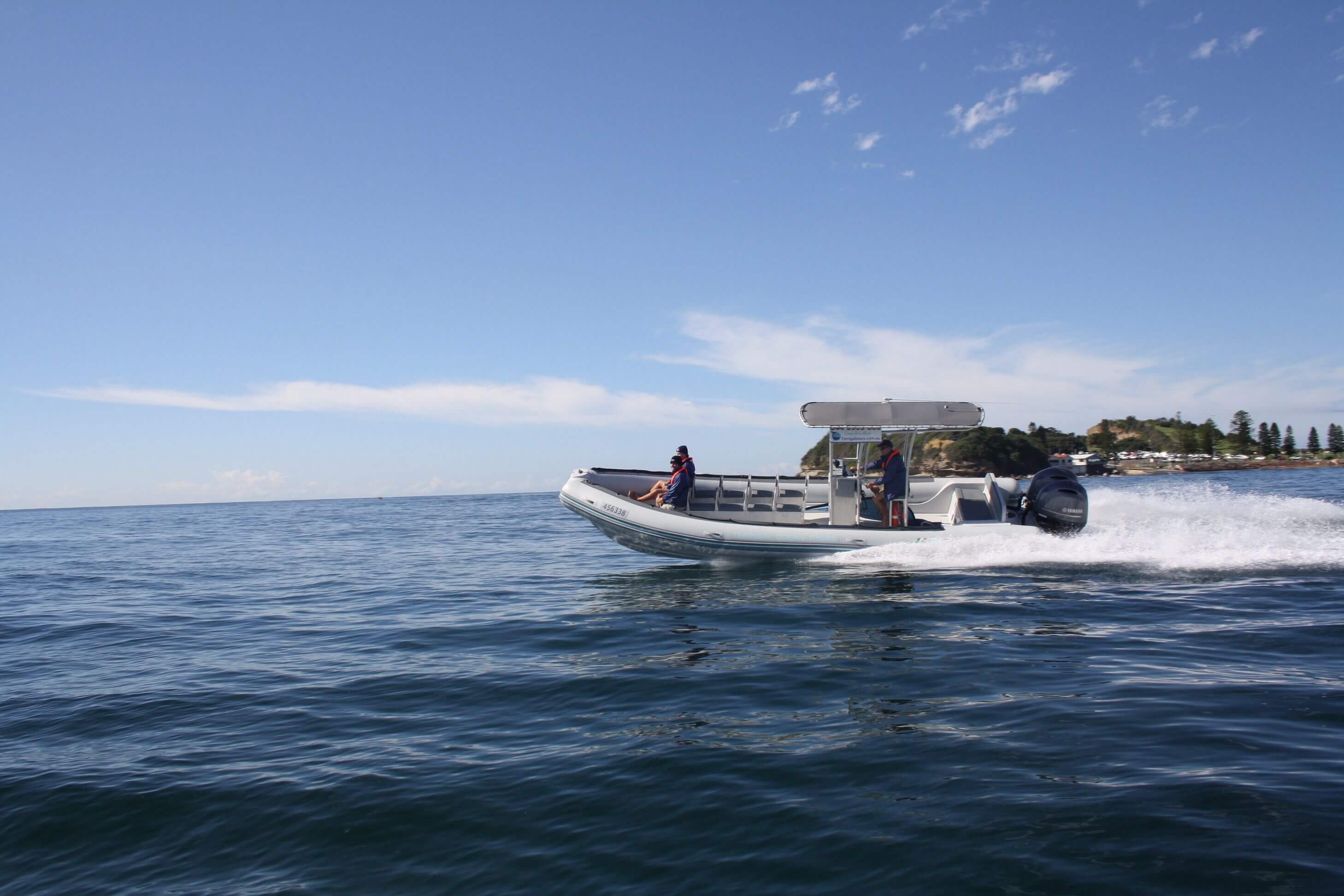 whale tours central coast