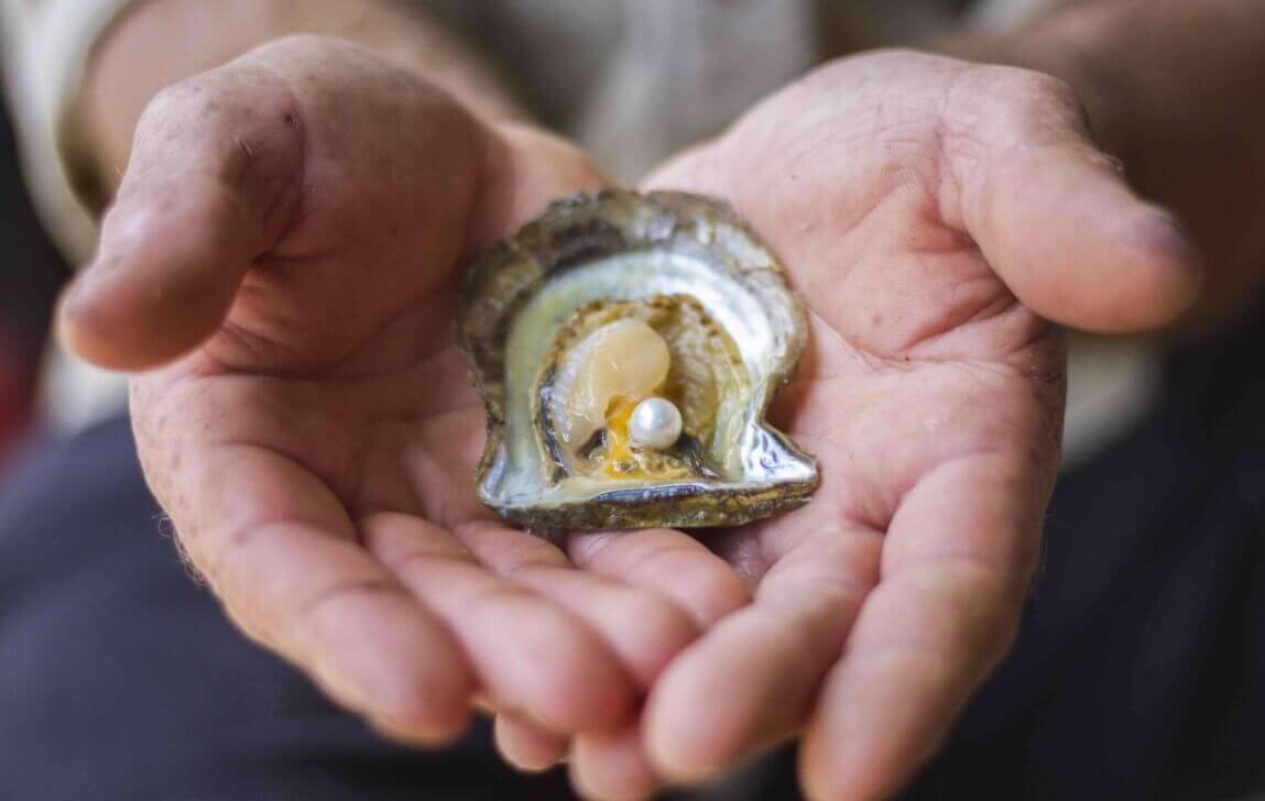 Broken Bay Pearl Farm