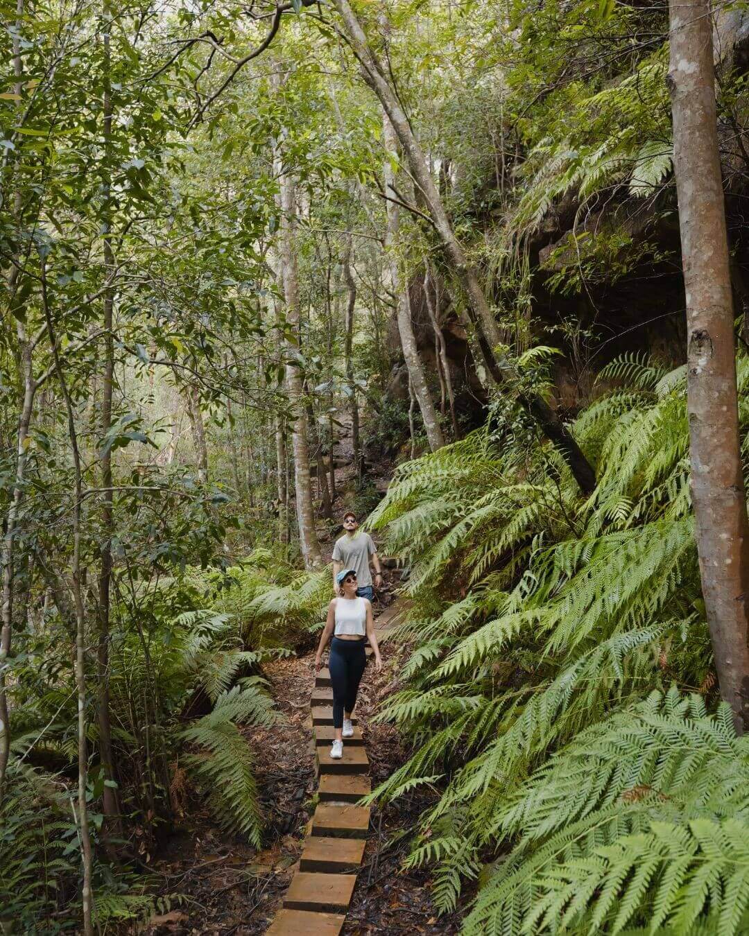 couple take the piles creek loop track through lush ferns