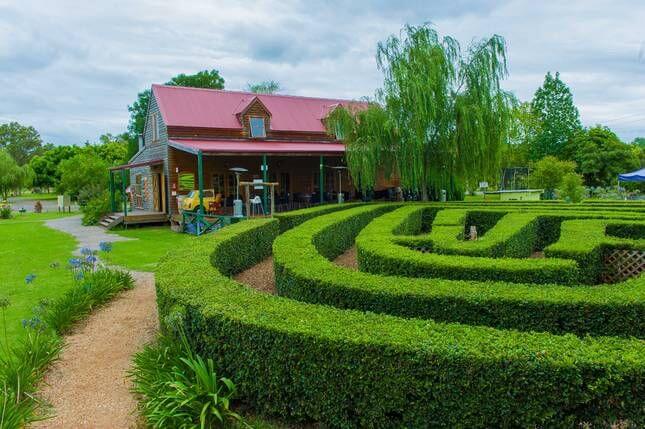 amazement farm and fun park