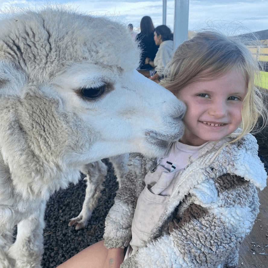 Kisses from alpacas at Iris Lodge Alpacas