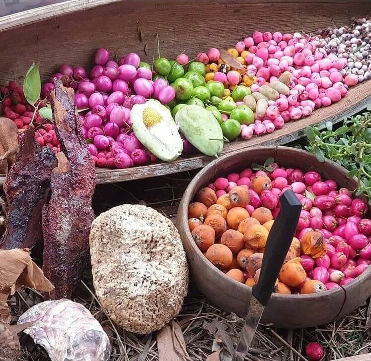  Jake Cassar bush craft culinary experience 