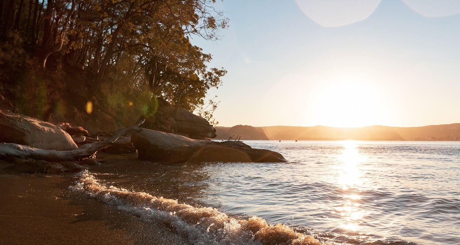 Lobster Beach Things to do Tourism Central Coast