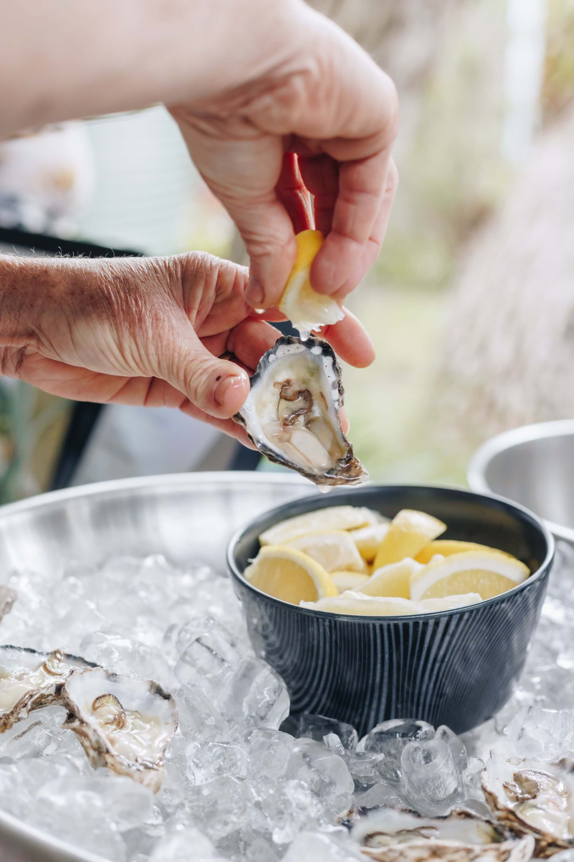 freshly shucked oyster