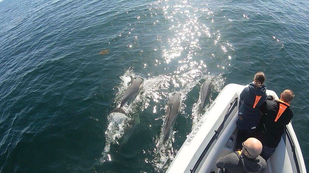 terrigal ocean tours with eco vessel