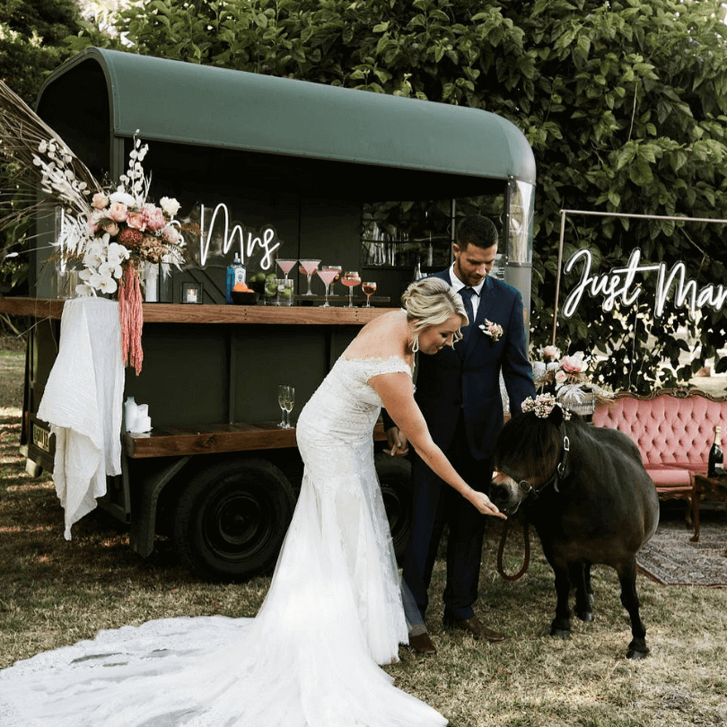 the wandering waterhole with bride groom and pony