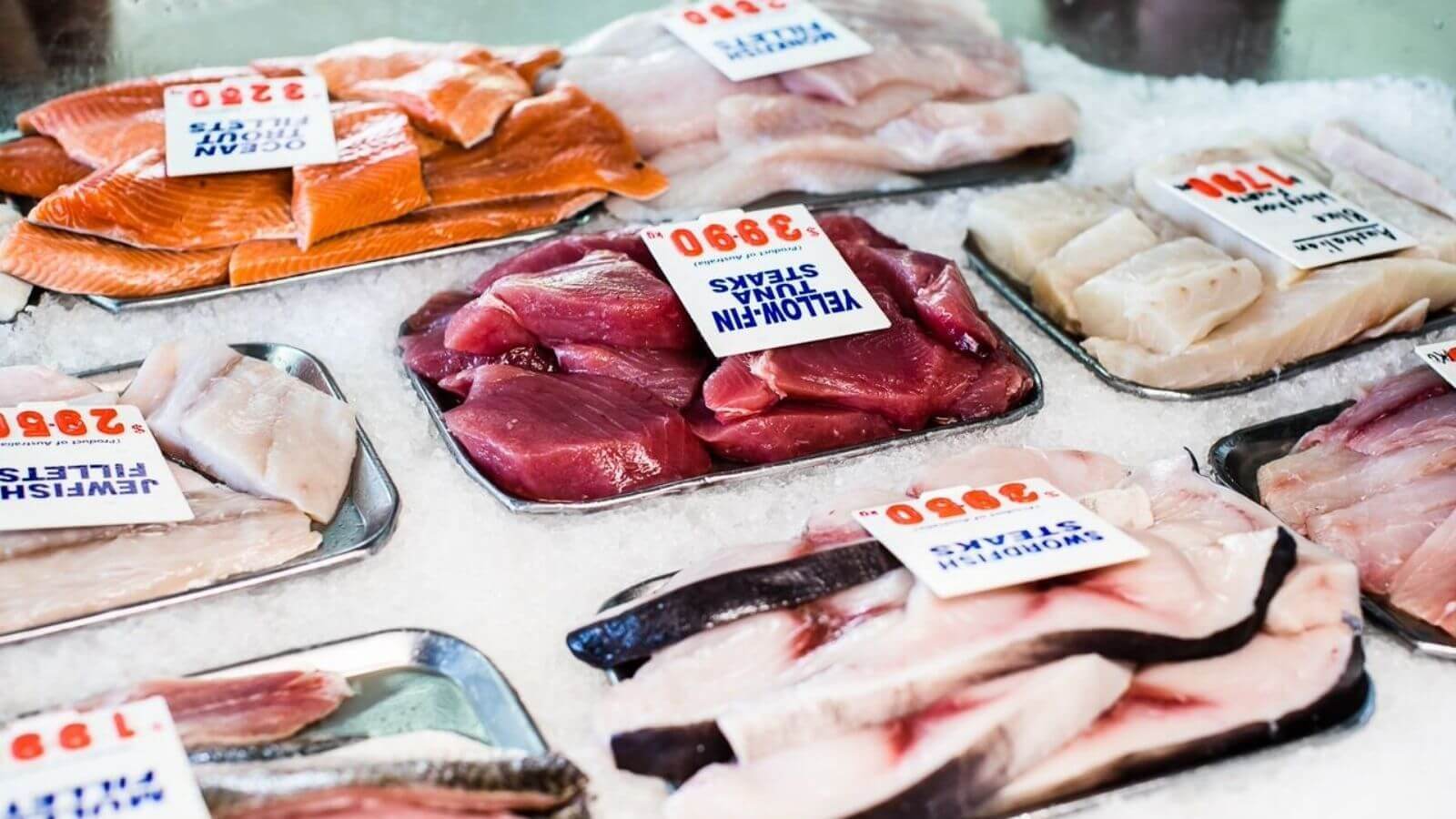 Fresh seafood for sale