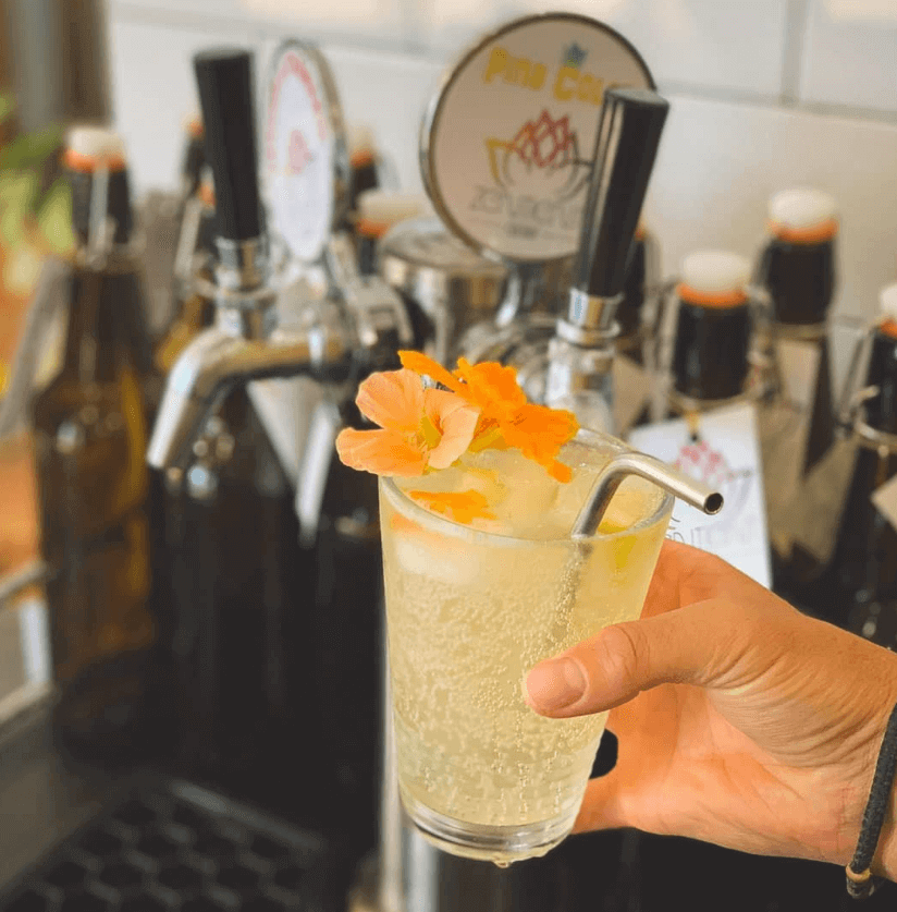 kombucha on tap with flower in glass