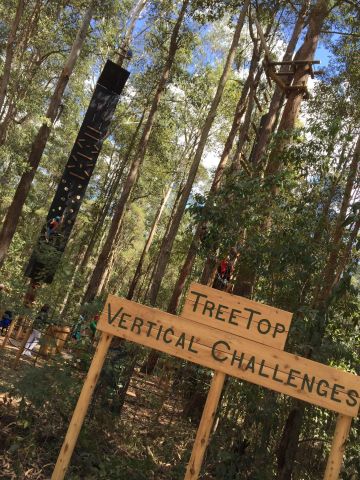 TreeTop Vertical Challenges