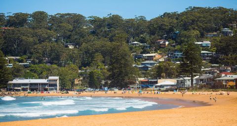 Avoca Beach