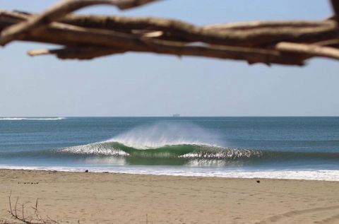 Central Coast Surf Academy