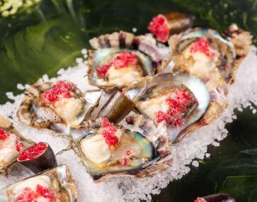 akoya pearl oysters on a platter with garnish