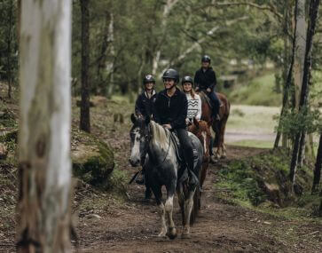 horse riding in glenworth valley 