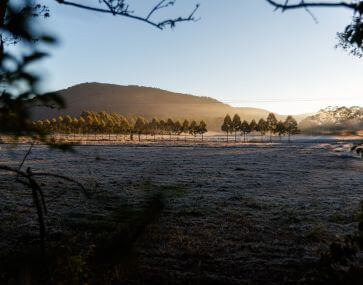 Frosty morning of the CC hinterlands