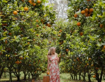 woman picking fruit