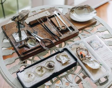 intricate pearl and oyster table display