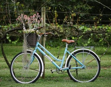 cute classic bike at winery