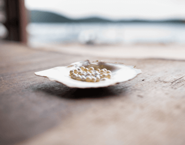 stunning pearls resting on a shell