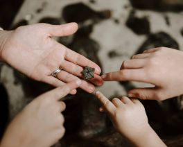 https://www.lovecentralcoast.com/news/the-rainy-day-guide-to-indoor-activities-on-the-central-coast
