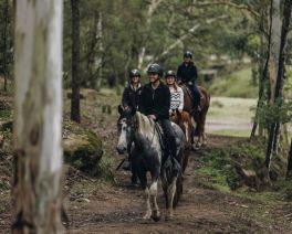 horse riding in glenworth valley 