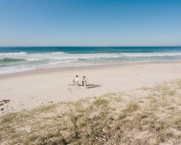 beach scene