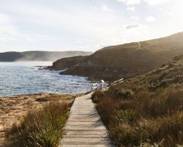 Bouddi National Park by David Ross