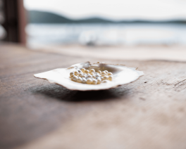 stunning pearls resting on a shell