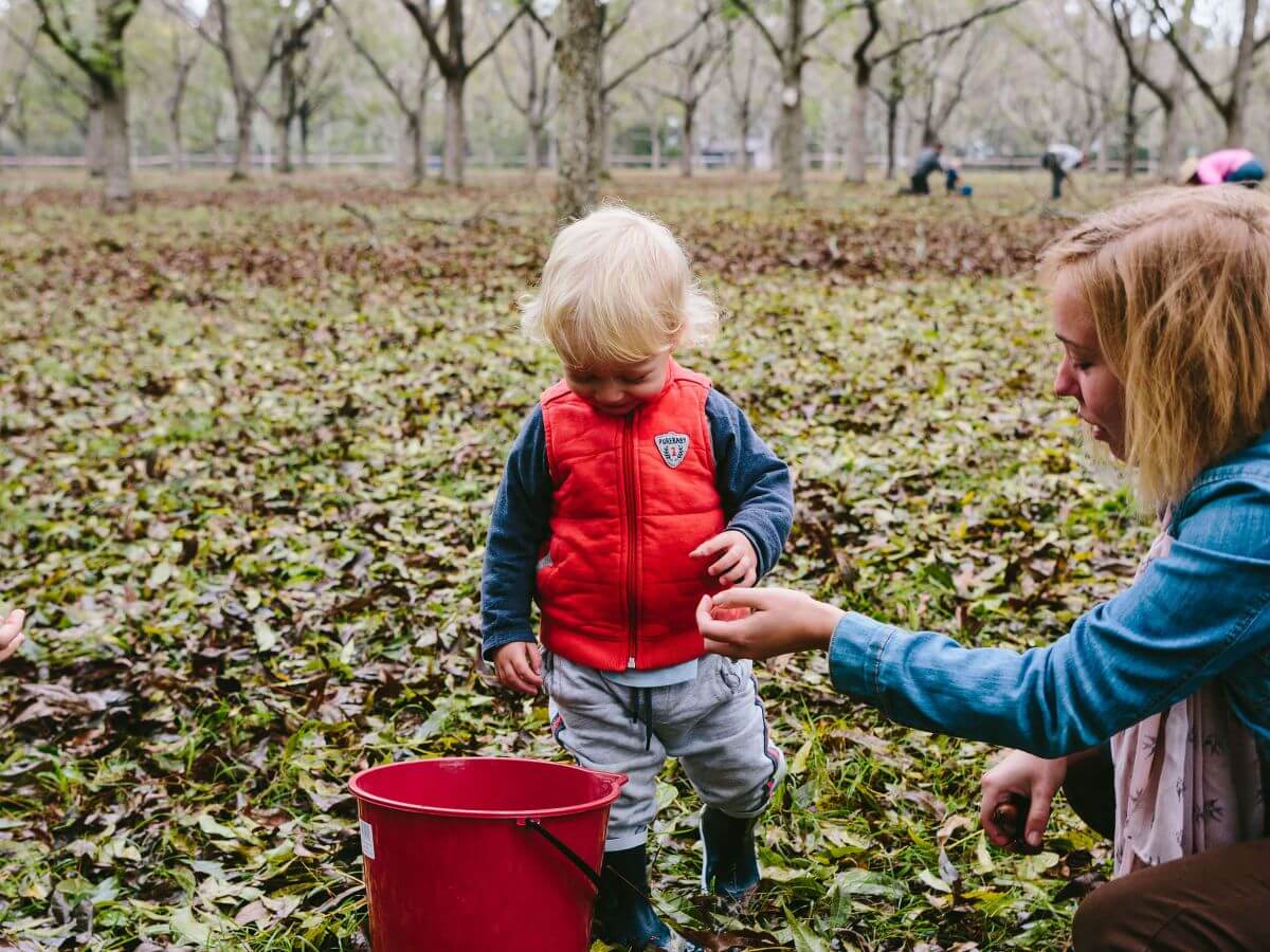 Pick your Own Pecans Community Event Love Central Coast