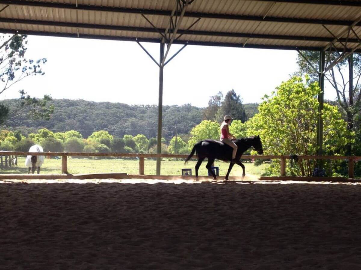 Blue Gums Equestrian Things to do Love Central Coast