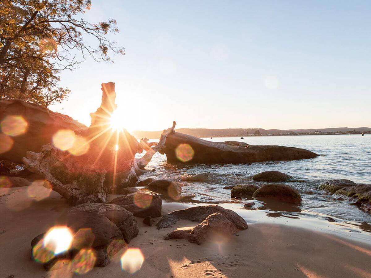 Lobster Beach Things to do Tourism Central Coast