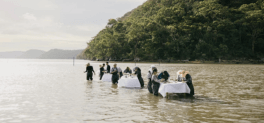 Sydney Oyster Farm Tours Eco Certified