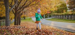 Autumn leaves