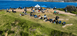 aerial view of headland spotting whales