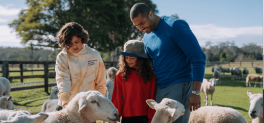 family sheep patting experience in hinterland