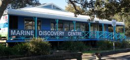 marine discovery centre 