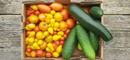box of organic farm produce