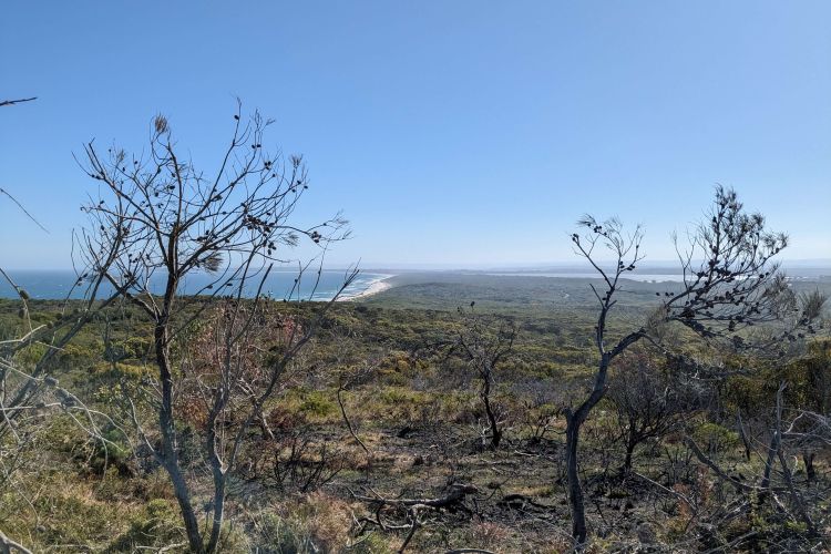 Wybong Head Scenery