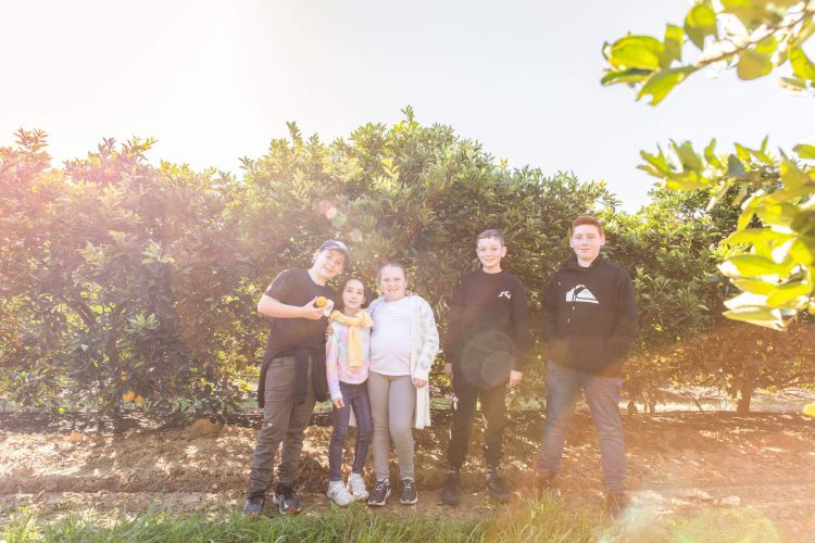 Children in front of orange trees