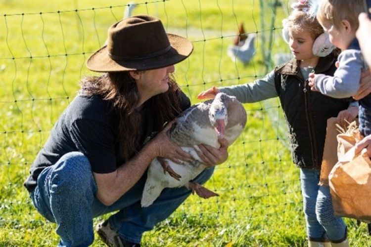 children patting goose