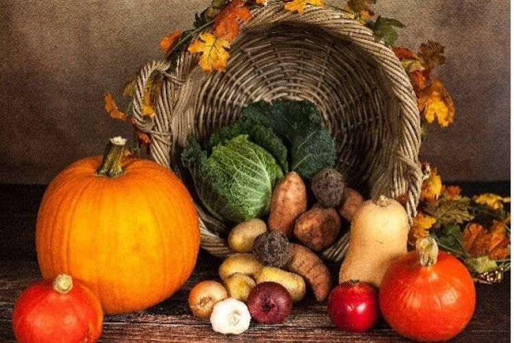 Eat like an eco warrior