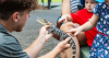 Zookeeper at the Australian Reptile Park holding a baby American alligator while kids touch it on its back
