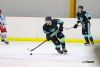 Ice Hockey player takes control of the puck
