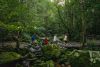 Strikland State Forest by Remy Brand x Destination Central Coast